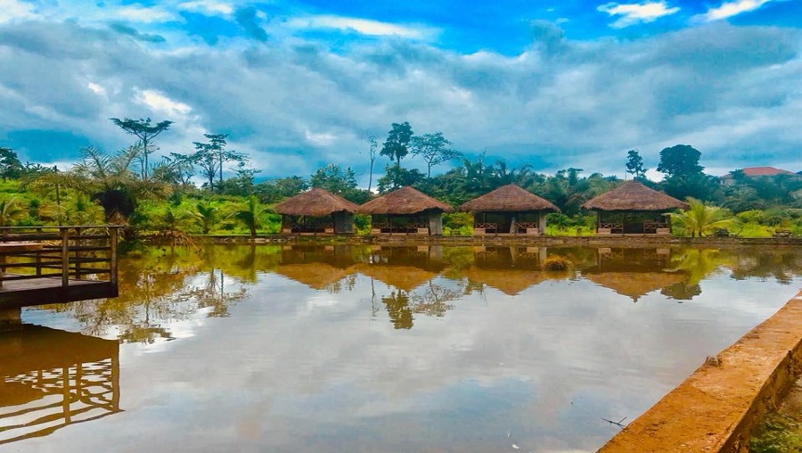 Communion avec la nature à Minkan peace resort